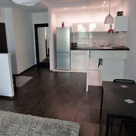 Mone - Fajny Apartament W Centrum Wroclawia Kültér fotó